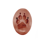 foot