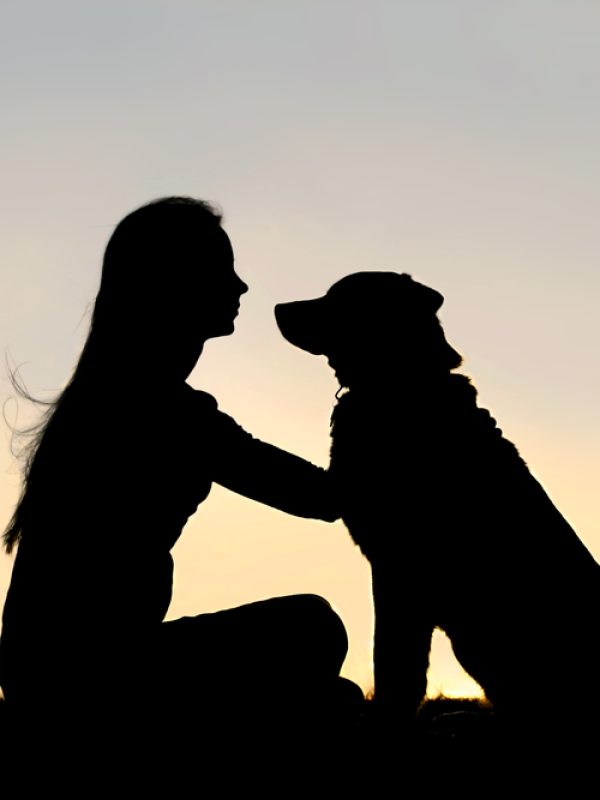 a special and serene moment as a girl is lovingly hugging and looking into the eyes of her German Shepherd Dog, silhouetted against the sunsetting sky